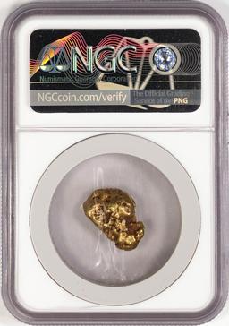 10.66 Gram Yukon Gold Nugget NGC Graded