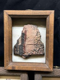 3 Large Petrified Wood Fossil Specimens with Frames