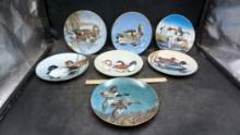 7 - Waterfowl Plates