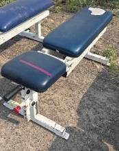 Exercise bench