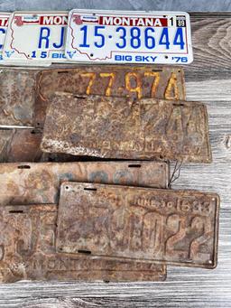 Collection of Antique Montana License Plates