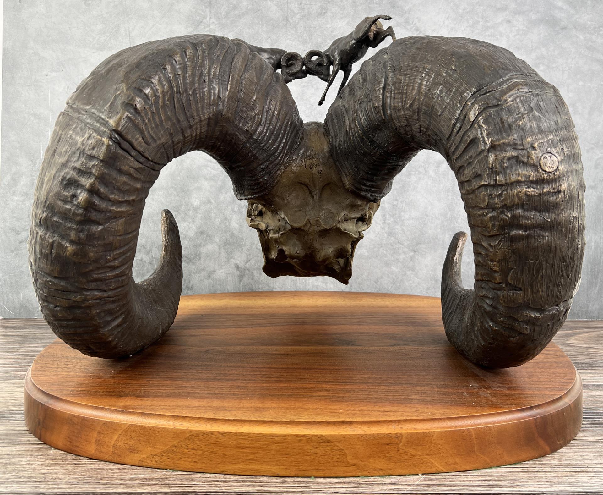 Ron Herron Bighorn Sheep Skull Bronze Montana