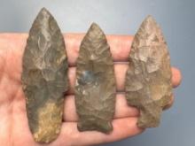 Lot of 3 Fine Points, TN/KY Region, Hornestone, Ft. Payne Chert, Longest is 3",