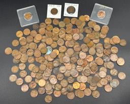 Collection of Wheat Pennies