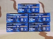 Federal 243 Win 100gr SP