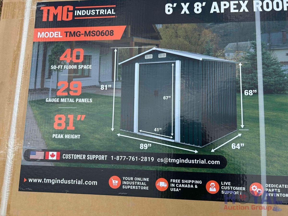 6 X 8 Ft Apex Metal Roof Shed