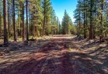 California 1.36 Acres in Modoc County in California Pines Subdivision on Low Monthly Payments