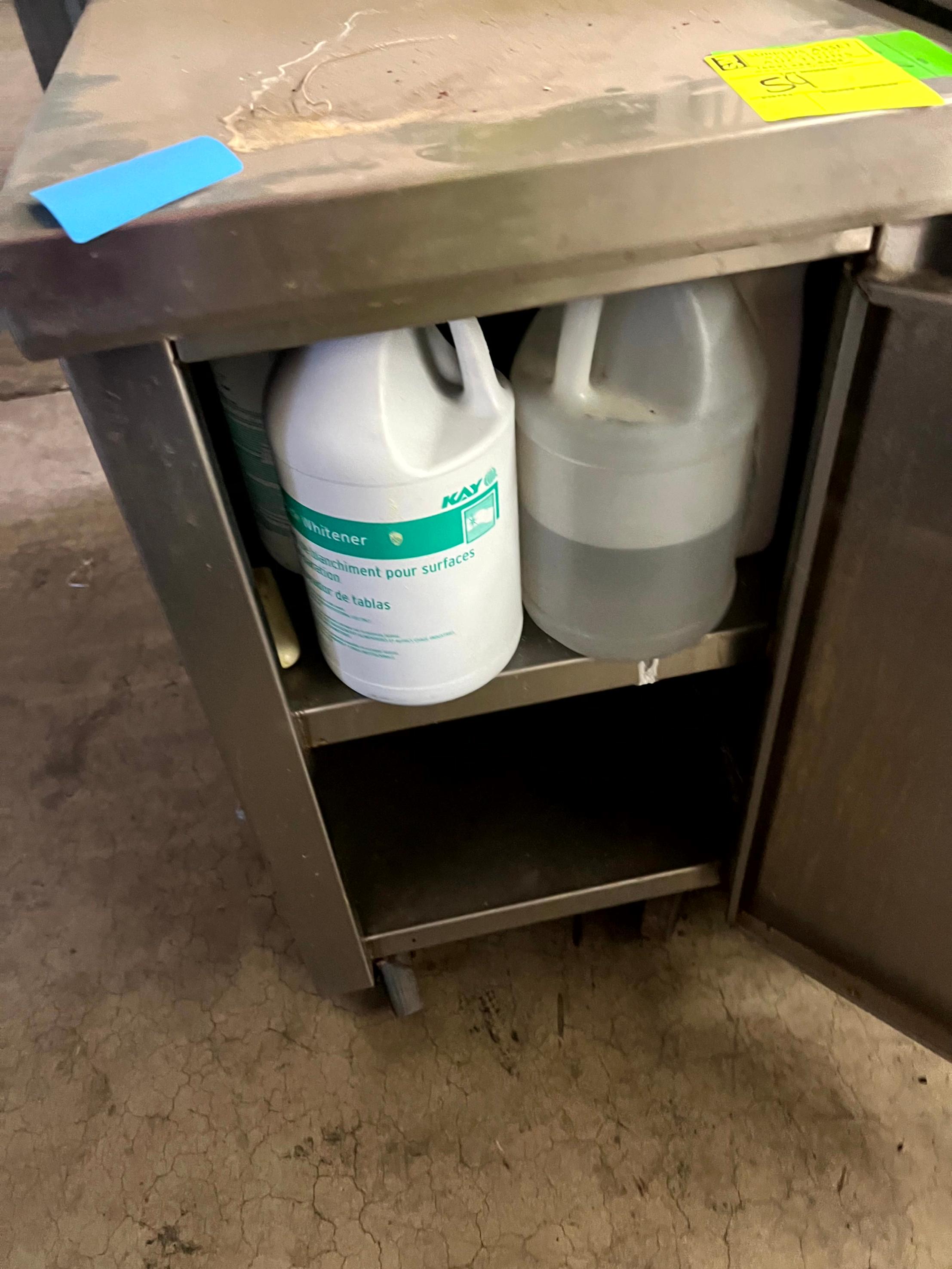 Small Stainless Cabinet