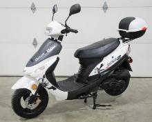 2023 TaoTao Pony 49cc Beat Box Scooter