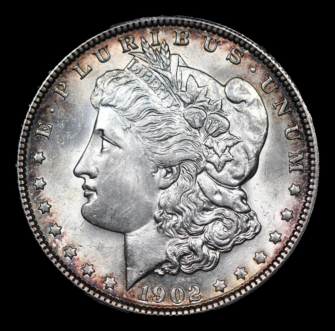 1902-p Morgan Dollar 1 Graded ms65+ By SEGS