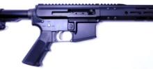 Palmetto U.S. Government AR-15 .223/5.56mm Caliber Rifle, NEW