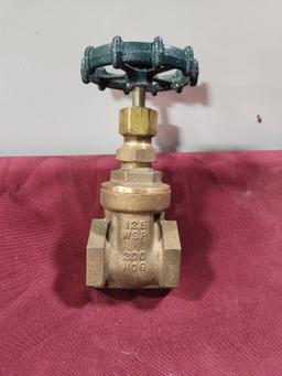 Gate Valve 125 WSP 200 WOG