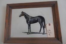 OIL ON BOARD BLACK HORSE SIGNED RASCH 17 X 12