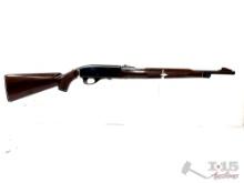 Remington Mohawk 10c .22lr Semi-Auto Rifle