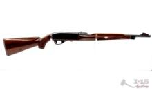 Remington Nylon 66 .22lr Semi-Auto Rifle