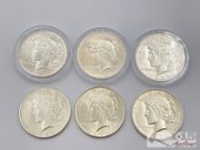 (6) 1924 & 1925 Silver Peace Dollars