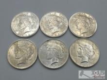 (6) 1922-1924 Silver Peace Dollars