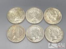 (6) 1922 & 1923 Silver Peace Dollars