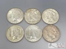 (6) 1922-1926 Silver Peace Dollars