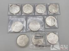 (10) .999 Fine Silver American Eagle Coins