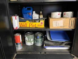 Sprays, Painting Supplies with Steel Cabinet
