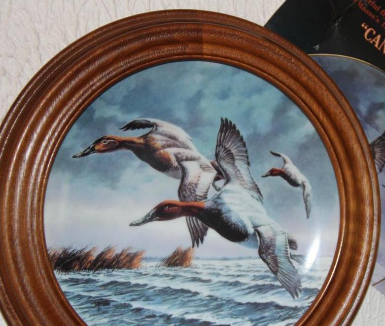 Six Duck Collector Plates in Wood Frames