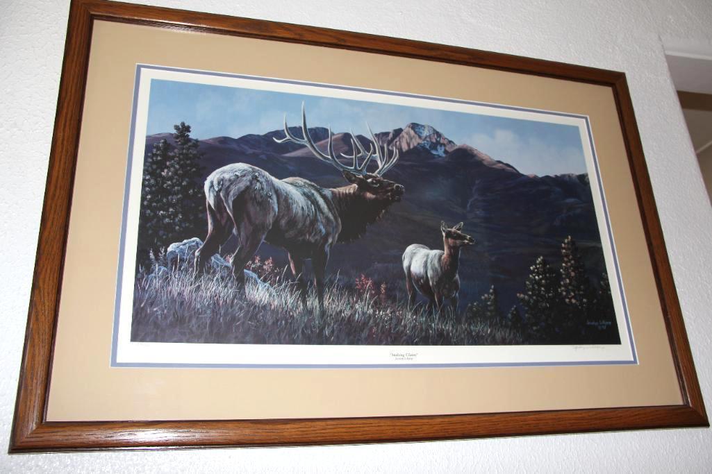 Signed and Framed Wildlife Art Prints