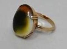 14K Gold Ring with Operculum Polished Stone size 6