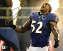 Ray Lewis Baltimore Ravens Autographed 8x10 Photo GA coa
