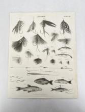 Antique Fly Fishing Print