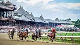 Enjoy a Great Day at the Saratoga Race track Courtesy of Bourbon Lane Stable. Package includes Box